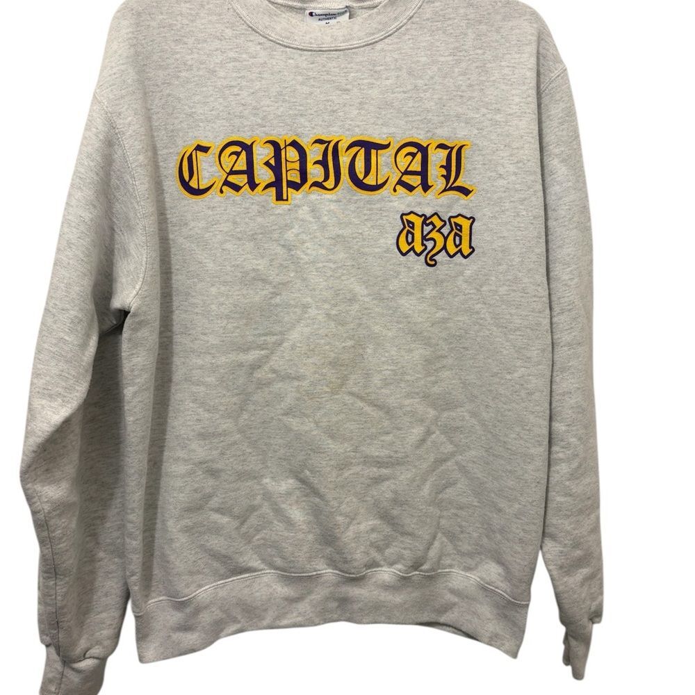 Champion Eco CAPITAL Mens Medium Longsleeve Gray